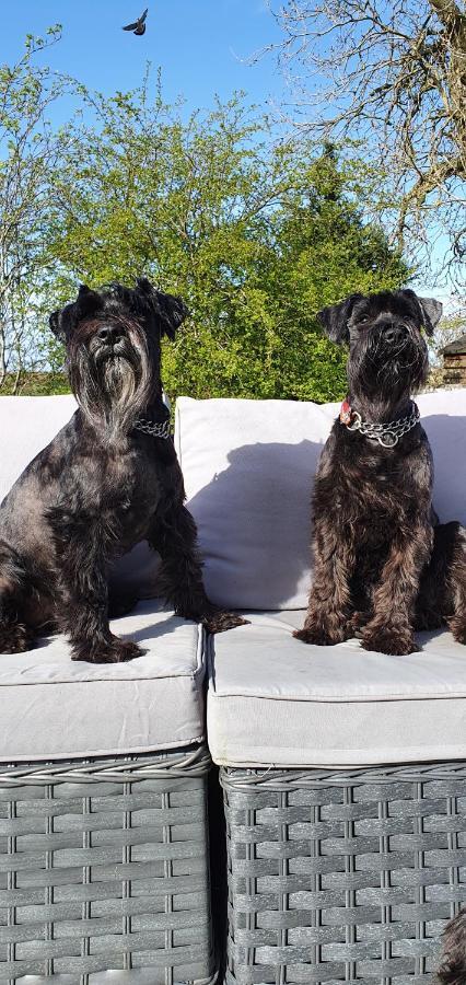The Grumpy Schnauzer BnB: Luxe Suite with Hot Tub & Farm Stay Airdrie Exterior photo