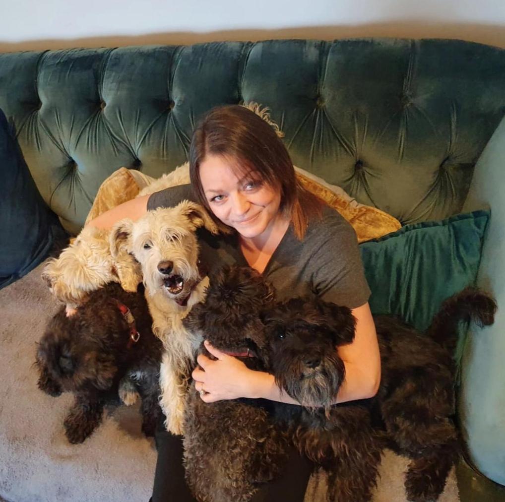 The Grumpy Schnauzer BnB: Luxe Suite with Hot Tub & Farm Stay Airdrie Room photo